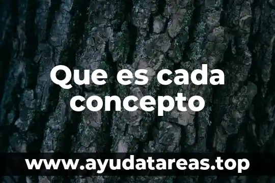 Que es cada concepto