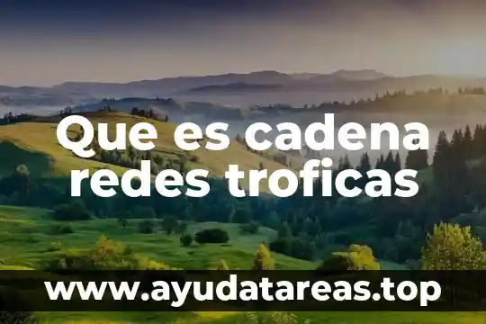 Significado que es una cadena alimenticia 8 Que es cadena redes troficas