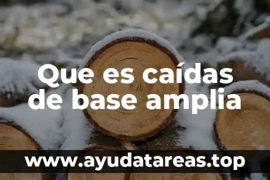Que es un usuario final en base de datos 8 Que es caídas de base amplia