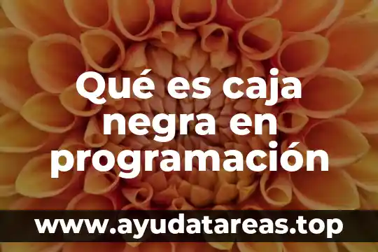 Programacion que es bandera 4 Qué es caja negra en programación
