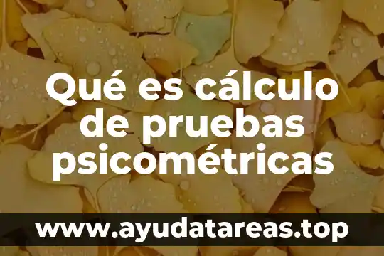 Qué es cálculo de pruebas psicométricas