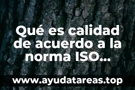 Qué es calidad de acuerdo a la norma ISO 9001