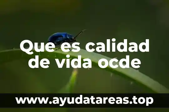 Que es calidad de vida ocde