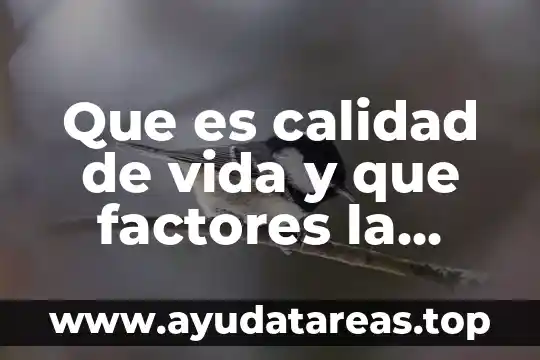 Que es calidad de vida y que factores la identifican
