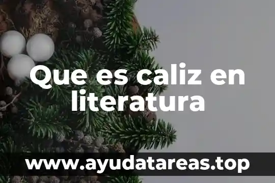 Que es caliz en literatura