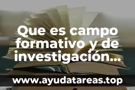 Que es campo formativo y de investigación en las universidades