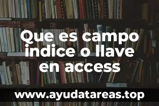 Que es campo indice o llave en access