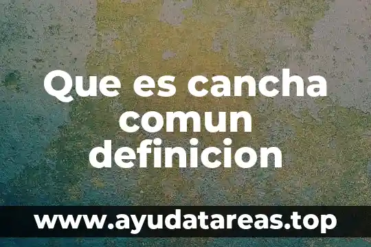 Que es cancha comun definicion