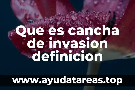 Qué es la CMOS definición 4 Que es cancha de invasion definicion