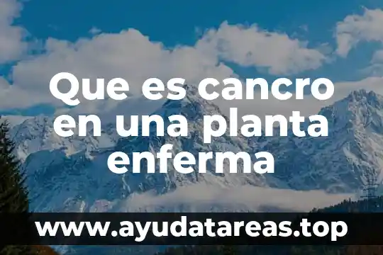 Que es una plaga en una planta 8 Que es cancro en una planta enferma