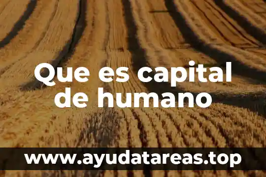Que es capital de humano