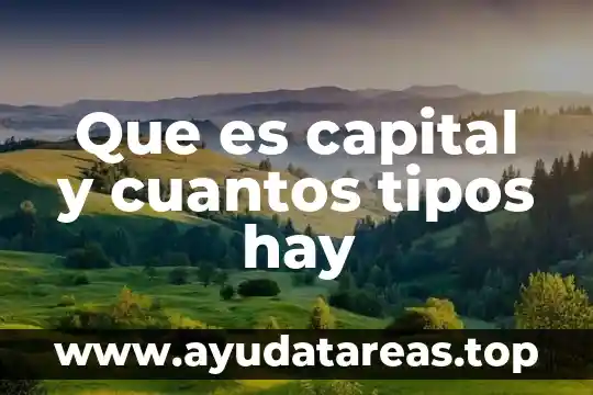 Que es una entrevista y cuantos tipos hay 7 Que es capital y cuantos tipos hay