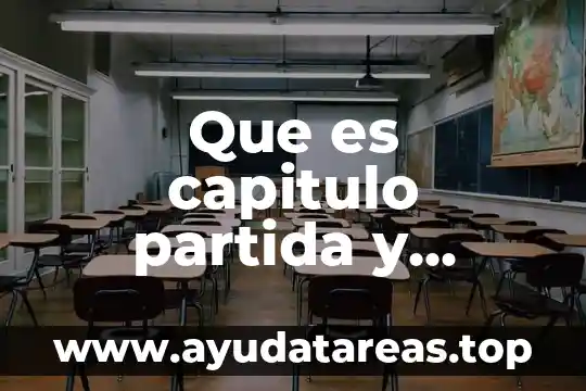 Que es capitulo partida y subpartida