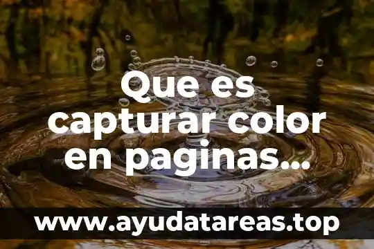 Que es camara web hardware 7 Que es capturar color en paginas web completas