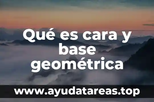 Qué es más cara el aluminio o la madera 6 Qué es cara y base geométrica