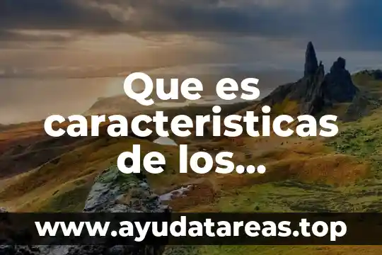 Que es caracteristicas de los productos