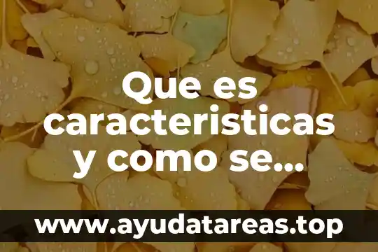 Que es caracteristicas y como se realiza la cita textual