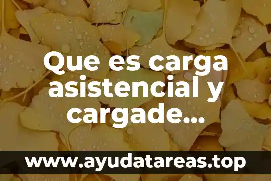 Que es una carga en ingenieria 4 Que es carga asistencial y cargade tranajo