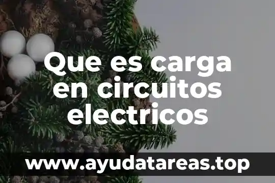 Que es carga en circuitos electricos
