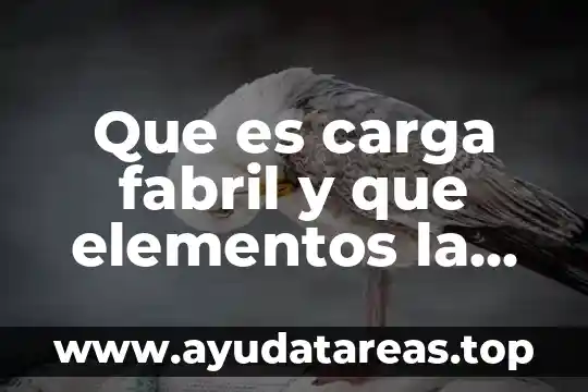 Que es carga fabril y que elementos la componen