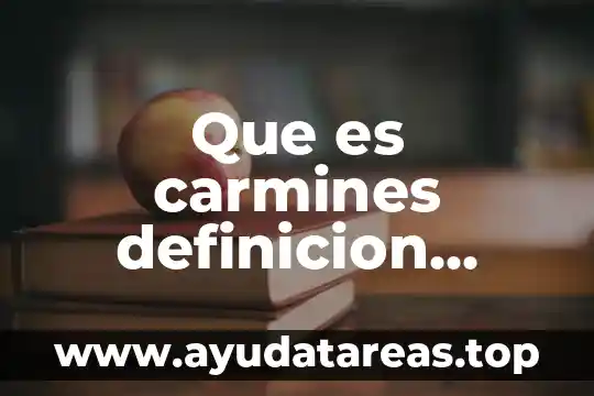 Que es carmines definicion diccionario