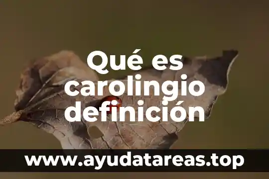 Qué es esporádica definición 4 Qué es carolingio definición