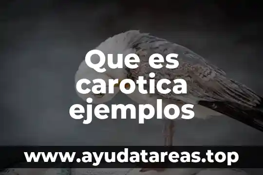 Que es un compuesto y sus ejemplos 4 Que es carotica ejemplos