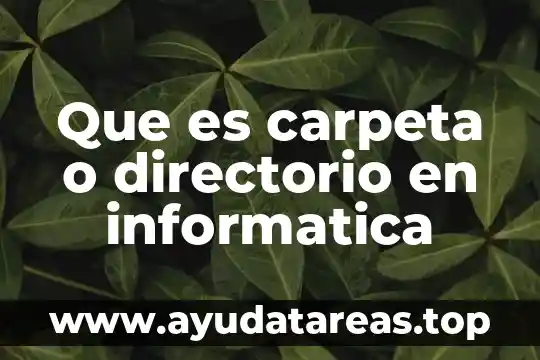 Que es carpeta o directorio en informatica