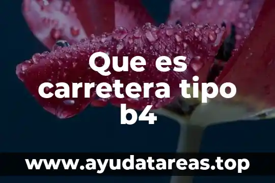 Que es carretera tipo b4