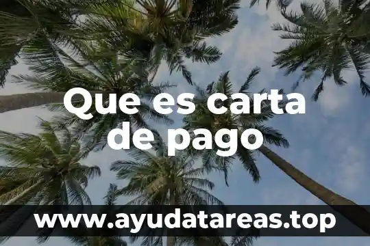 Que es carta de pago