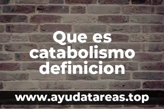 Que es catabolismo definicion