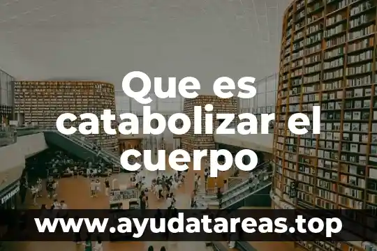 Que es el cuerpo vital 7 Que es catabolizar el cuerpo