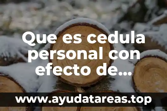 Que es un cedula medica tipo c1 6 Que es cedula personal con efecto de patente