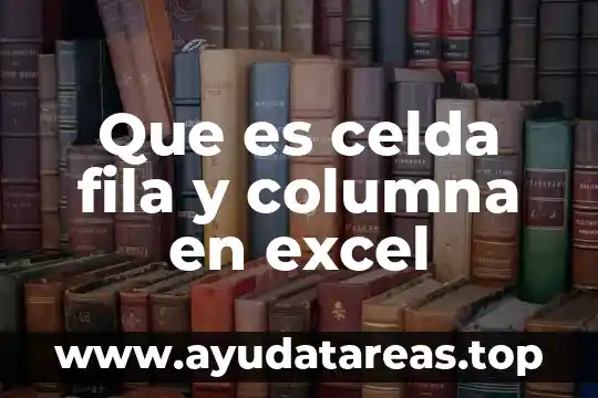 Que es doble columna en educacion fisica 3 Que es celda fila y columna en excel