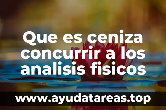 Que es ceniza concurrir a los analisis fisicos