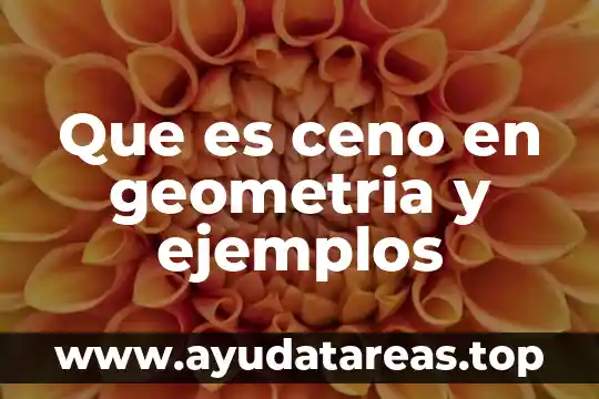 Que es un nombre comun y ejemplos 7 Que es ceno en geometria y ejemplos