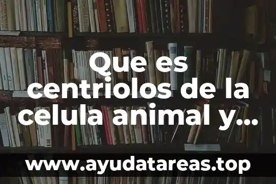 Que es una salamandra animal 4 Que es centriolos de la celula animal y su funcion