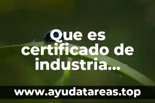 Que es el despiece en la industria carnica 3 Que es certificado de industria limpia