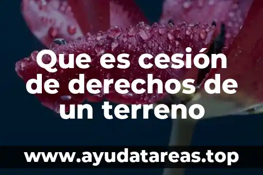 Que es cesión de derechos de un terreno