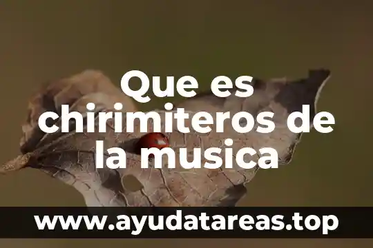 Qué es la música y tipos de música 6 Que es chirimiteros de la musica