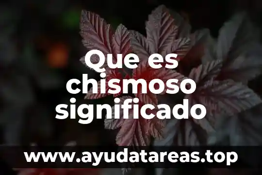 Los losetas que es el significado 8 Que es chismoso significado