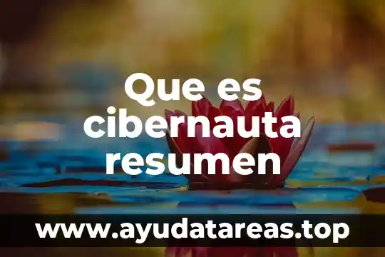 Que es cibernauta resumen