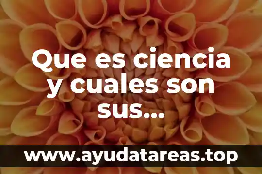 Que es signo y cuales son sus componentes 7 Que es ciencia y cuales son sus caracteriticas