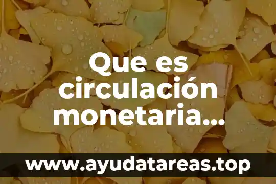 Que es circulación monetaria méxico