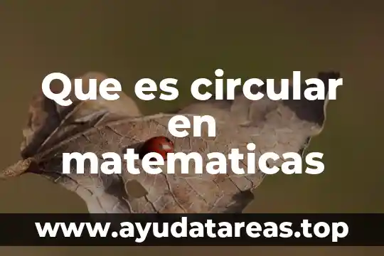 Que es un veinteabo en matemáticas 5 Que es circular en matematicas