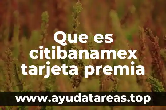 Que es citibanamex tarjeta premia
