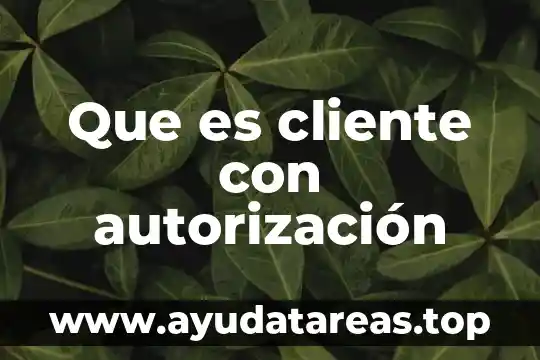 Que es cliente con autorización
