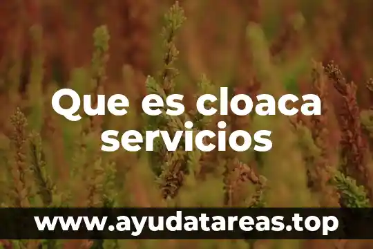 Que es tecnologia tesis 6 Que es cloaca servicios