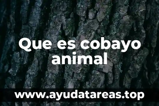 Que es el mundo animal 4 Que es cobayo animal