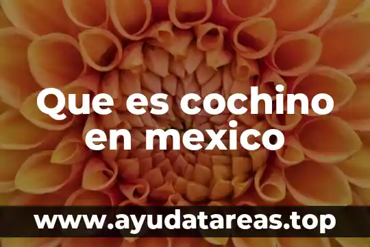 ¿Qué es alebrijes en México? 3 Que es cochino en mexico